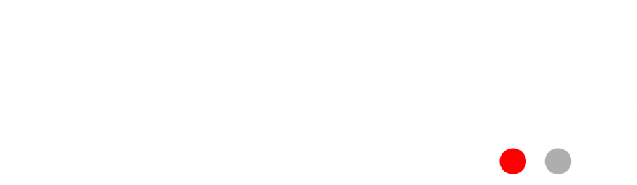 Bazaar Model Management